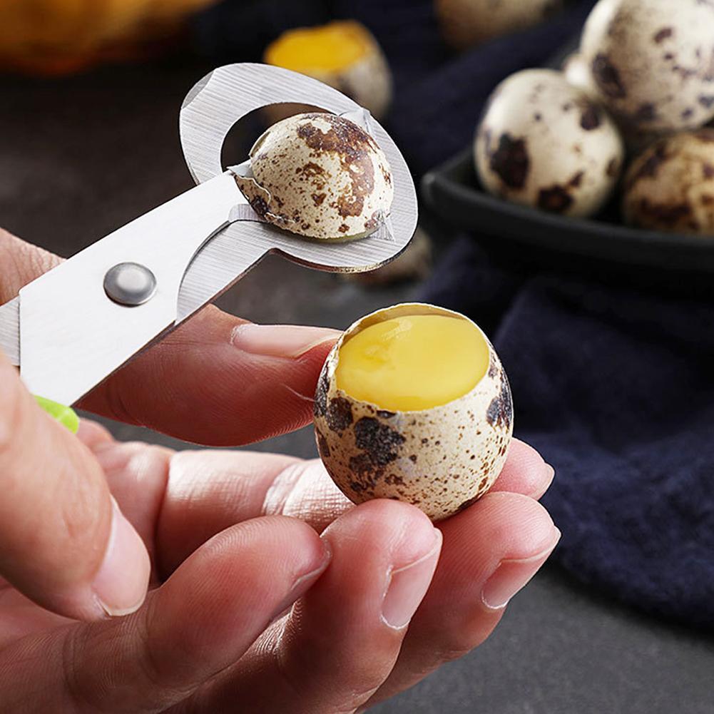 Egg Separator Tool - Pombo codorna crack aberto pequeno casca