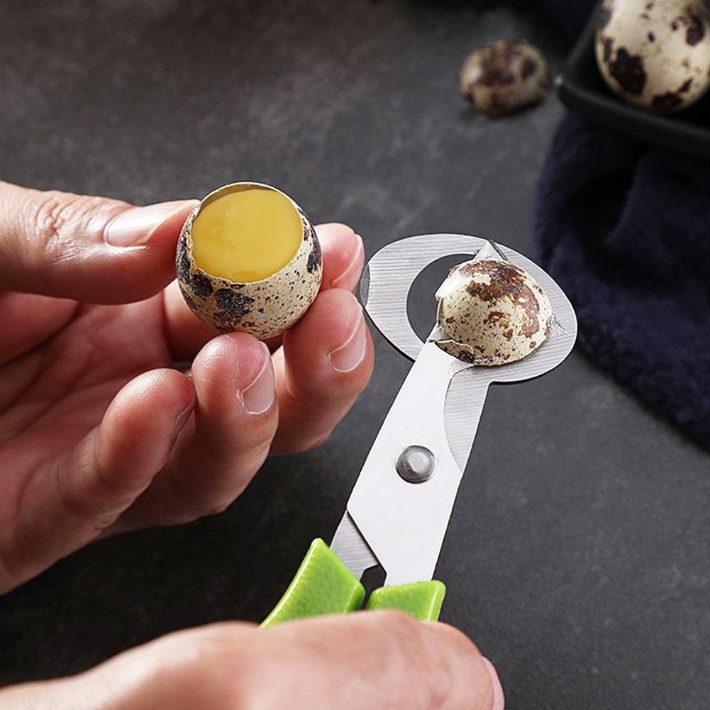 Pombo codorna crack aberto peq - Egg Separator Tool avaliação e preço